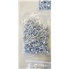 Image 2 : CASE OF 1000 STEEL SCREWS