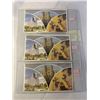 Image 2 : 3 ROYAL CANADIAN MINT 1981, 1982, RARE 1983