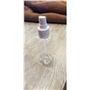Image 3 : CASE OF NE WPLASTIC BOTTLES WITH SQUIRT TOP