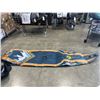 Image 2 : BODY GLOVE PERFORMER PADDLE BOARD KIT WITH CARRY BAG