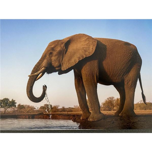 Original African Safari photo