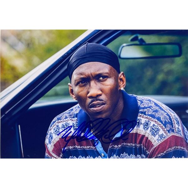 Moonlight Mahershala Ali facsimile signed movie photo