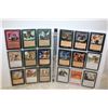Image 1 : BINDER OF MAGIC THE GATHERING CARDS