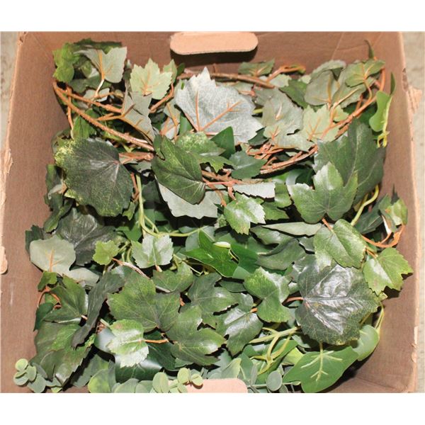 BOX OF SILK VINE PLANTS