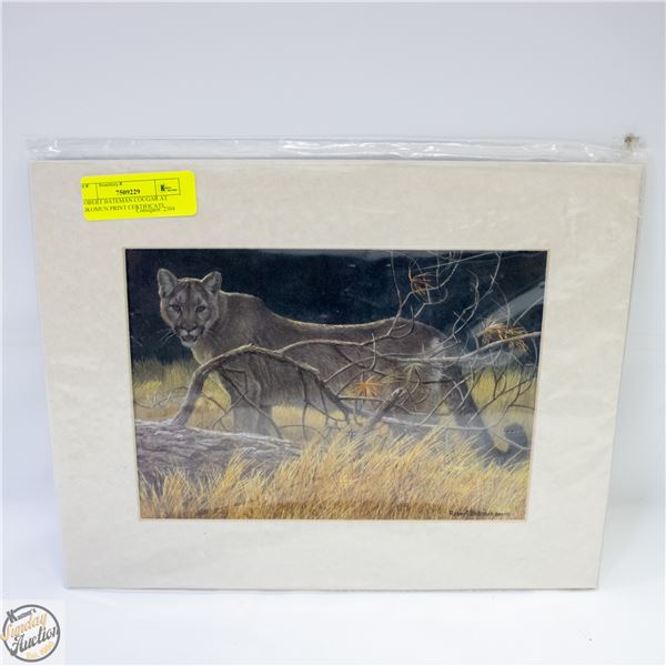 ROBERT BATEMAN COUGAR AT KIKOMUN PRINT CERTIFICATE