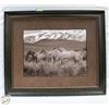 Image 1 : LARGE FRAMED HORSE PRINT 32 1/2" X 29 1/2"