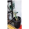 Image 1 : LOT OF YARD TOOLS