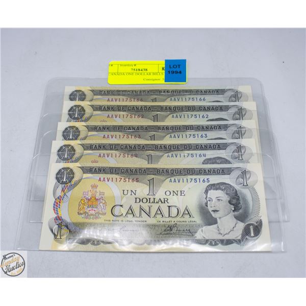 5 CANADA ONE DOLLAR BILLS 1973