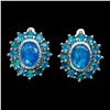 Image 1 : Natural Ethopian Blue Opal Earrings