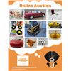 Image 1 : Online Auction