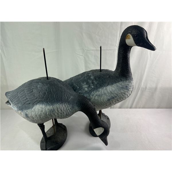 Pair of Goose Decoys