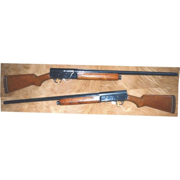 Remington 12 ga #132133