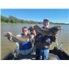 Image 9 : MONSTER CHANNEL CATFISH for 1 day for 3 anglers.