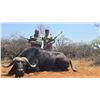 Image 12 : BUFFELKRAAL SAFARIS with Deon Kruis in Limpopo, South Africa for 7 days and 6 nights, 2 hunters