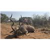 Image 1 : BUFFELKRAAL SAFARIS with Deon Kruis in Limpopo, South Africa for 7 days and 6 nights, 2 hunters