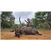 Image 2 : BUFFELKRAAL SAFARIS with Deon Kruis in Limpopo, South Africa for 7 days and 6 nights, 2 hunters