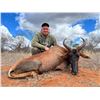 Image 5 : BUFFELKRAAL SAFARIS with Deon Kruis in Limpopo, South Africa for 7 days and 6 nights, 2 hunters