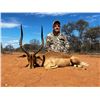 Image 9 : BUFFELKRAAL SAFARIS with Deon Kruis in Limpopo, South Africa for 7 days and 6 nights, 2 hunters