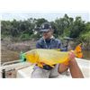 Image 4 : 4-day Free Range hunt & 1 Day of Golden Dorado Fishing with CANTENA SAFARIS ARGENTINA for 4 hunters