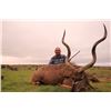 Image 8 : 7 Day Plains Game hunt for 2 in the East Cape of South Africa including a Cape Kudu for each hunter