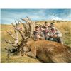 Image 10 : New Zealand 4-day/5-night Reg Stag, Arapawa Ram and South Pacific Goat for 4 hunters
