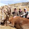 Image 3 : New Zealand 4-day/5-night Reg Stag, Arapawa Ram and South Pacific Goat for 4 hunters