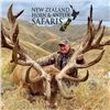 Image 4 : New Zealand 4-day/5-night Reg Stag, Arapawa Ram and South Pacific Goat for 4 hunters