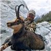 Image 9 : New Zealand 4-day/5-night Reg Stag, Arapawa Ram and South Pacific Goat for 4 hunters
