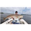 Image 1 : Fishing for 2 anglers with FishBonz Charters  In Crystal River, Florida.