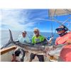 Image 2 : Fishing for 8 anglers with The Marlin Hunter for 7 days