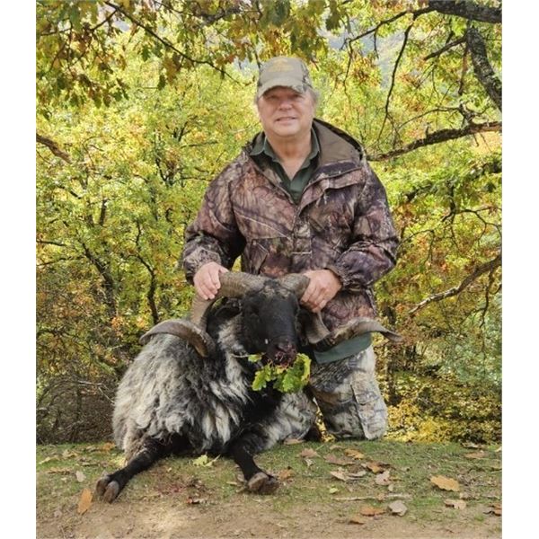 Macedonia Big Game Hunt for 2 Hunters for 4 days