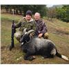 Image 9 : Macedonia Big Game Hunt for 2 Hunters for 4 days