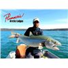 Image 2 : PLUMMER’S ARCTIC LODGE Fishing Trip for 4 days for 1 Angler for 2026.