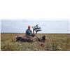 Image 11 : MUNROE LAKE LODGE 6 day / 6 night Fly in CCBG Caribou hunt for 1 for 2027