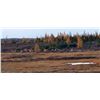 Image 1 : MUNROE LAKE LODGE 6 day / 6 night Fly in CCBG Caribou hunt for 1 for 2027