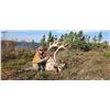 Image 4 : MUNROE LAKE LODGE 6 day / 6 night Fly in CCBG Caribou hunt for 1 for 2027