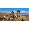 Image 5 : MUNROE LAKE LODGE 6 day / 6 night Fly in CCBG Caribou hunt for 1 for 2027