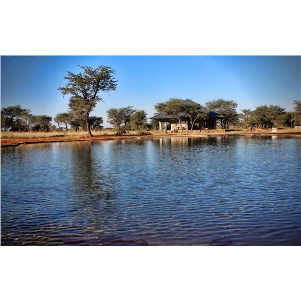 NAMBIAN BIG GAME HUNT for 3 HUNTERS  For 6 Nights for 3 Hunters