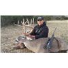 Image 2 : 3 Days, 2 Night TEXAS Whitetail and Exotic Hunt for 2 hunters
