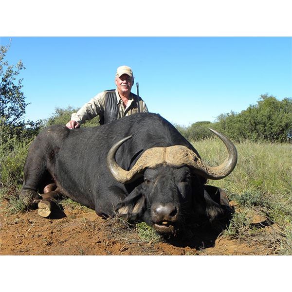 7 Day CAPE BUFFALO hunt for 1 hunter and 1 observer  in the Eastern Cape of South Africa