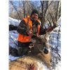 Image 3 : 5-day Muzzleloader deer hunt in Manitoba’s parkland  for 2026 only