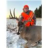 Image 5 : 5-day Muzzleloader deer hunt in Manitoba’s parkland  for 2026 only