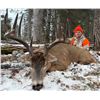 Image 8 : 5-day Muzzleloader deer hunt in Manitoba’s parkland  for 2026 only