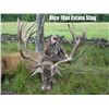 Image 3 : 7 day / 6 Night Scottish Hill Stag Hunt for 1 hunter for 2027 only