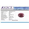 Image 7 : Magnificent Certified Museum Size 1660 Ct Natural Red Ruby Solitaire