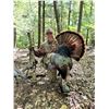 Image 3 : (IN ROOM ONLY BIDDING) RETRIEVING FREEDOM: Retrieving Freedom's Ultimate Sportsman Experience