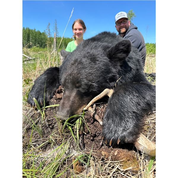 HORSESHOE CREEK: 6-Day Spring Black Bear Hunt for One Hunter in B.C. - Includes Best Available Bear