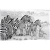 Image 1 : CYNTHIE'S WILDLIFE ORIGINALS: "Into the Fray" - Pen and Charcoal Artwork