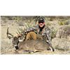 Image 1 : LA PALMOSA: 4-Day Central Plateau Whitetail Deer Hunt for One Hunter in MX - Includes Trophy Fee