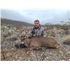 Image 2 : LA PALMOSA: 4-Day Central Plateau Whitetail Deer Hunt for One Hunter in MX - Includes Trophy Fee